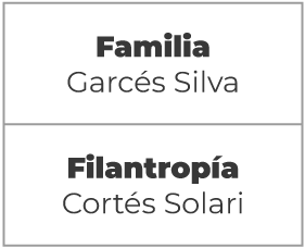 Centro para el Desarrollo de Iniciativas Sociales