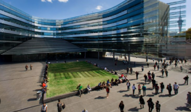 Profesor Matías Braun realizó estadía académica en la Universidad de Auckland, Nueva Zelanda